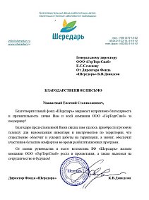 Благодарственное письмо: Благотворительный фонд реабилитации детей, перенесших тяжелые заболевания «Шередарь»